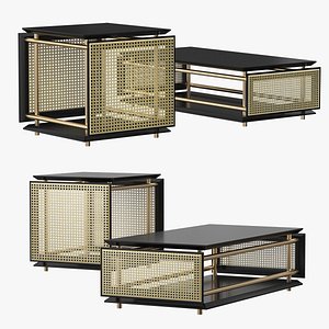 Wiener Box Coffe table