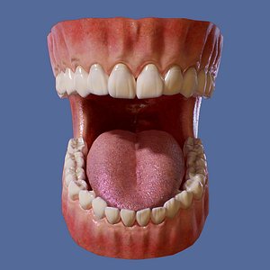 Teeth - Mouth Interior Real Time