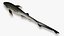 Sharpnose sevengill shark 2
