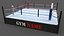 Модульные профессиональные боксерские ринги PBR 18x18 футов