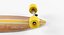Longboards Set 3D model