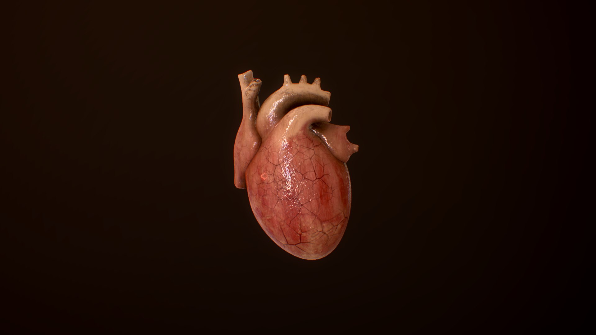 3D Heart Science - TurboSquid 1664630