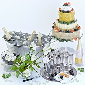 set champagne 3D model