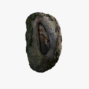 Anydrafts Salix matsudana Burl 04 3D