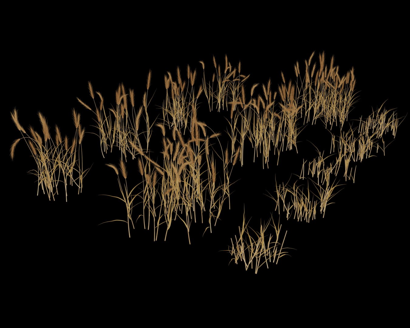 wheat field 3D model https://p.turbosquid.com/ts-thumb/K8/BLdAov/5uM32HeU/wheat_field9b/jpg/1550230053/1920x1080/fit_q87/16046eafdf4c89e3b106a9aedd58fa6e3d01e39e/wheat_field9b.jpg
