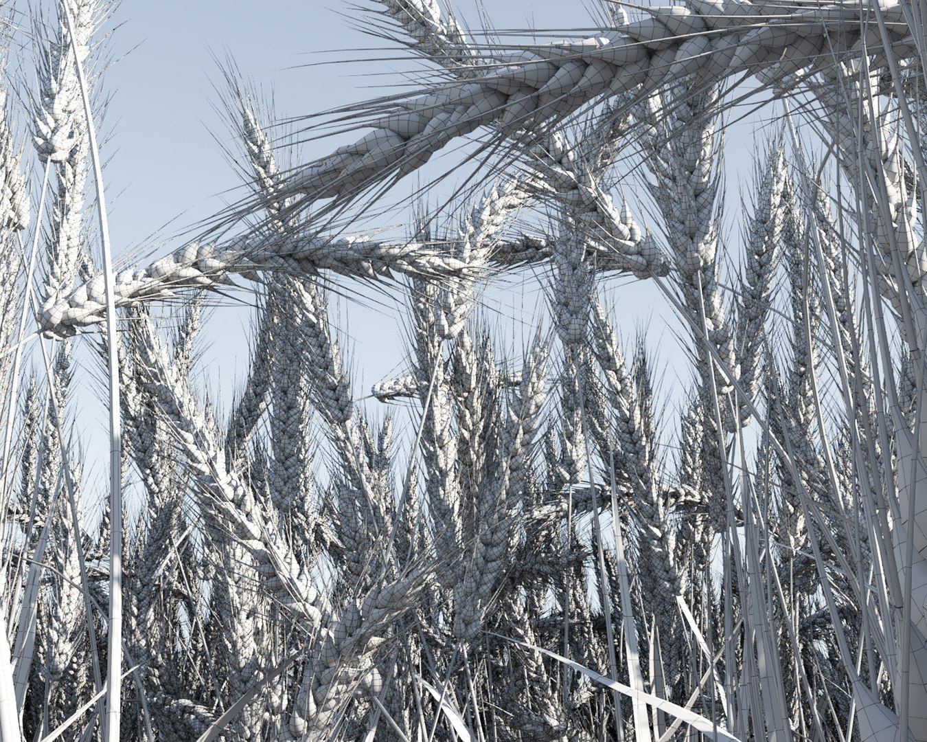 wheat field 3D model https://p.turbosquid.com/ts-thumb/K8/BLdAov/NtqFJfBr/wheat_field10/jpg/1499251926/1920x1080/fit_q87/fe9445f90fbede2113d7c6647bcc308d4370d51a/wheat_field10.jpg