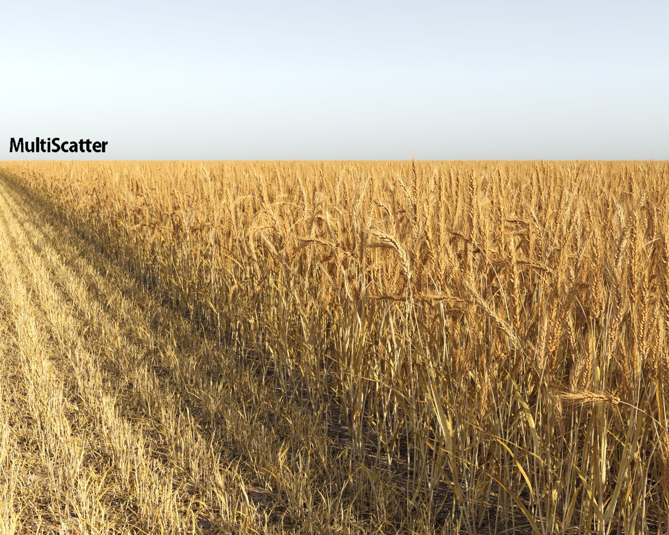 wheat field 3D model https://p.turbosquid.com/ts-thumb/K8/BLdAov/lfQPwi79/wheat_field3/jpg/1499251862/1920x1080/fit_q87/8a83462136d223d2ed5fb5de6568e1e36b316a9c/wheat_field3.jpg