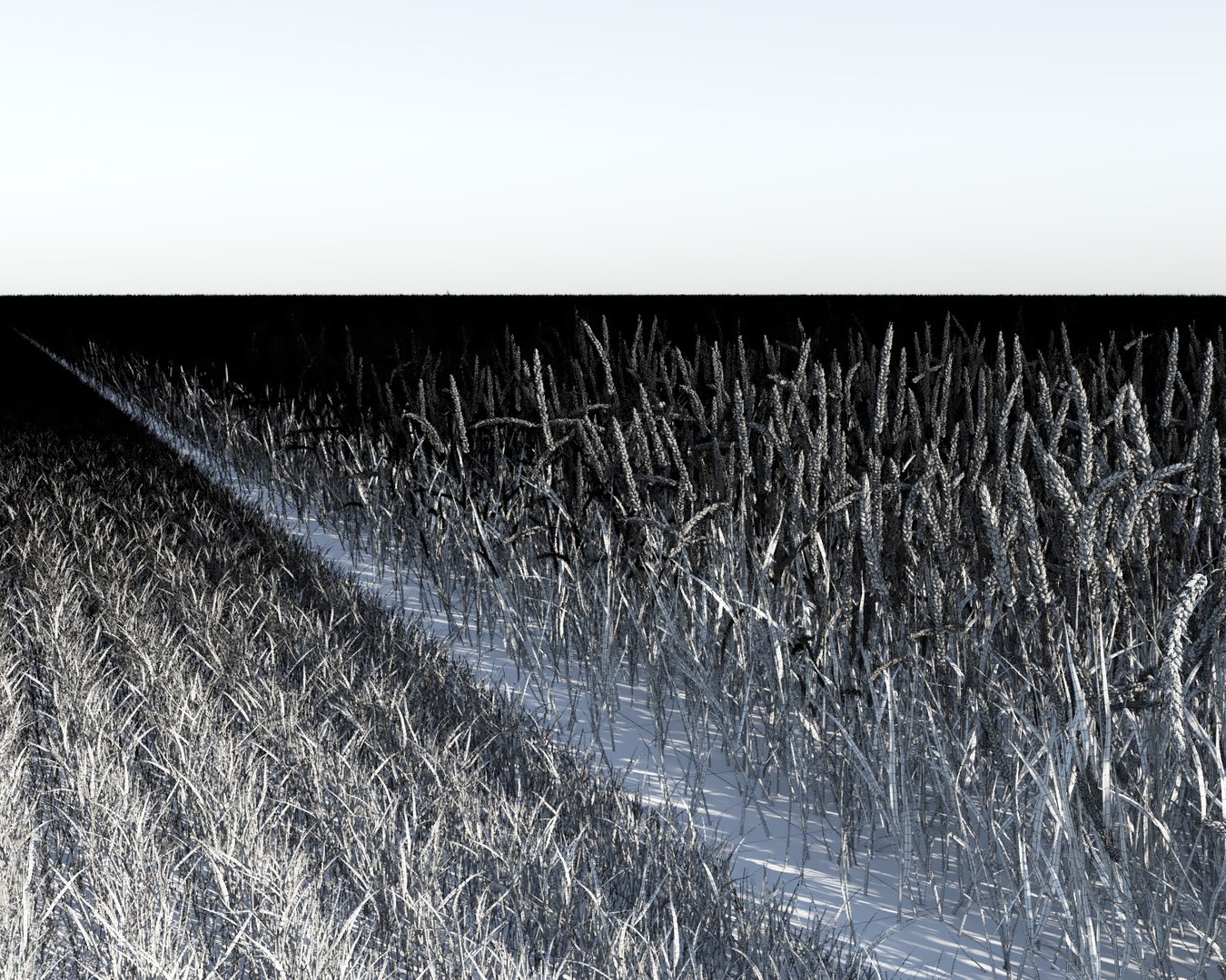 wheat field 3D model https://p.turbosquid.com/ts-thumb/K8/BLdAov/rucrQH7O/wheat_field11/jpg/1499251935/1920x1080/fit_q87/129e24bee0c0abfe3ff83f442201ae58eef2a3a9/wheat_field11.jpg