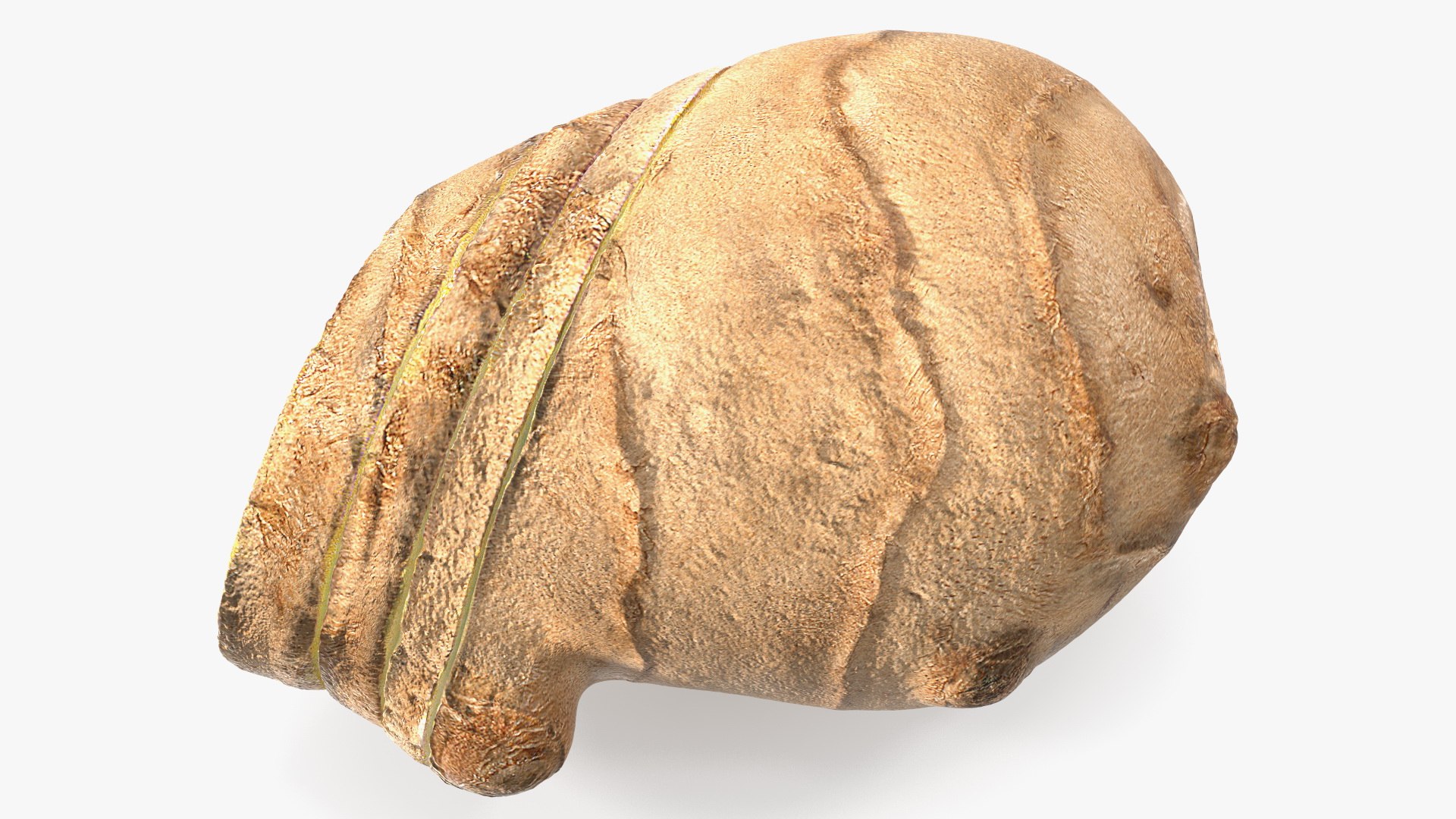 Sliced Ginger Piece 3D model preview