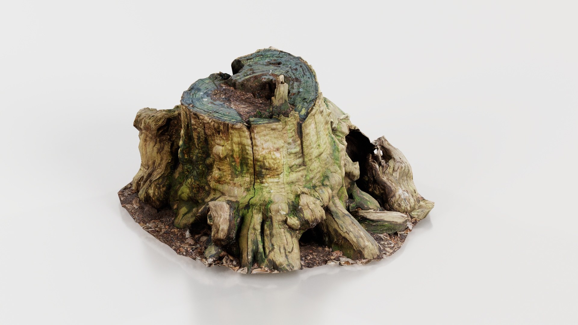 3D Wide Tree Root Stump Remastered Model - TurboSquid 2363156