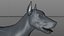 Doberman Rigged L617