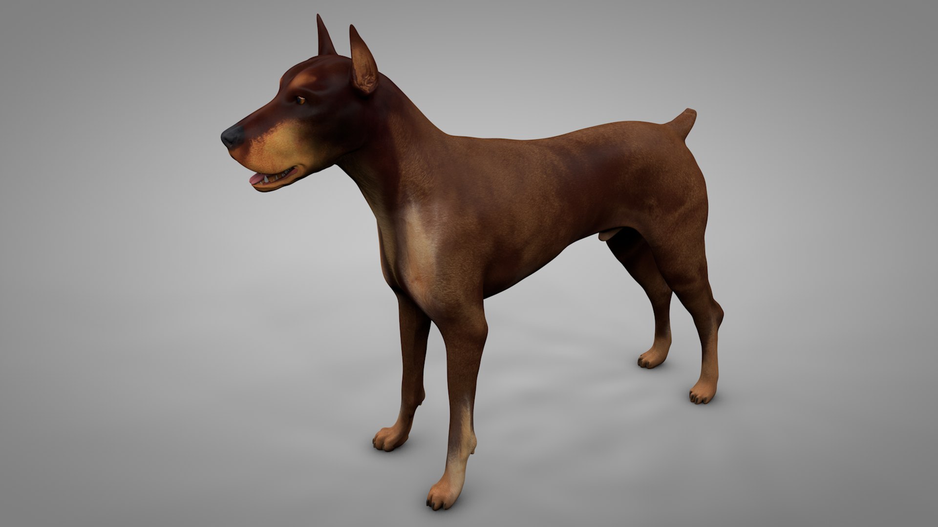 doberman rigged l617 animate 3D model https://p.turbosquid.com/ts-thumb/K8/UUH7jw/8NtOEAwH/2nd/png/1584402448/1920x1080/fit_q87/baad8c6571566f7132bc7d8e9416397748c7328a/2nd.jpg