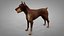 Doberman Rigged L617