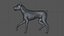 Doberman Rigged L617