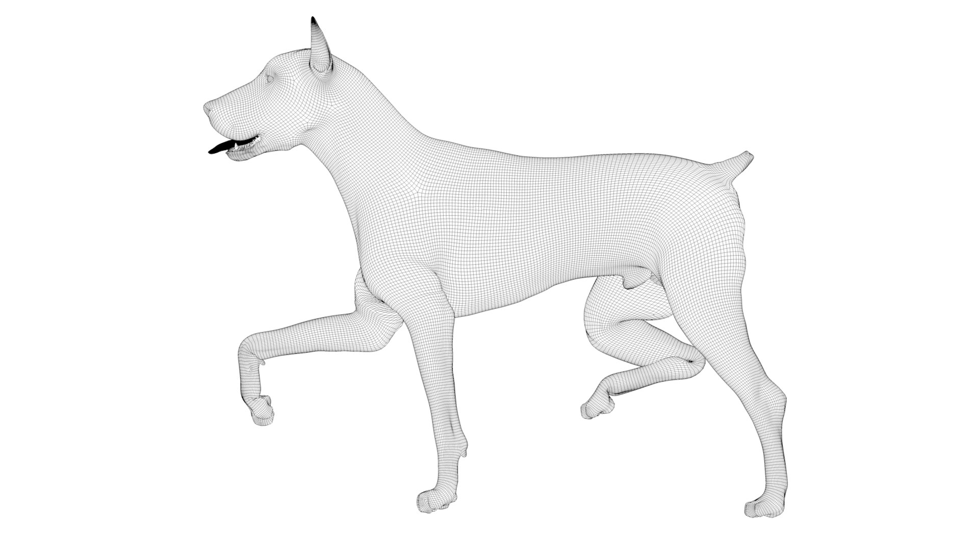 doberman rigged l617 animate 3D model https://p.turbosquid.com/ts-thumb/K8/UUH7jw/B4Xa1sVm/91/png/1584058335/1920x1080/fit_q87/dda22ce4c9abb45416cd86ef21b7e3c39d283299/91.jpg