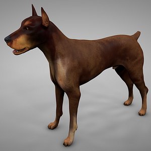 doberman rigged l617 animate 3D model