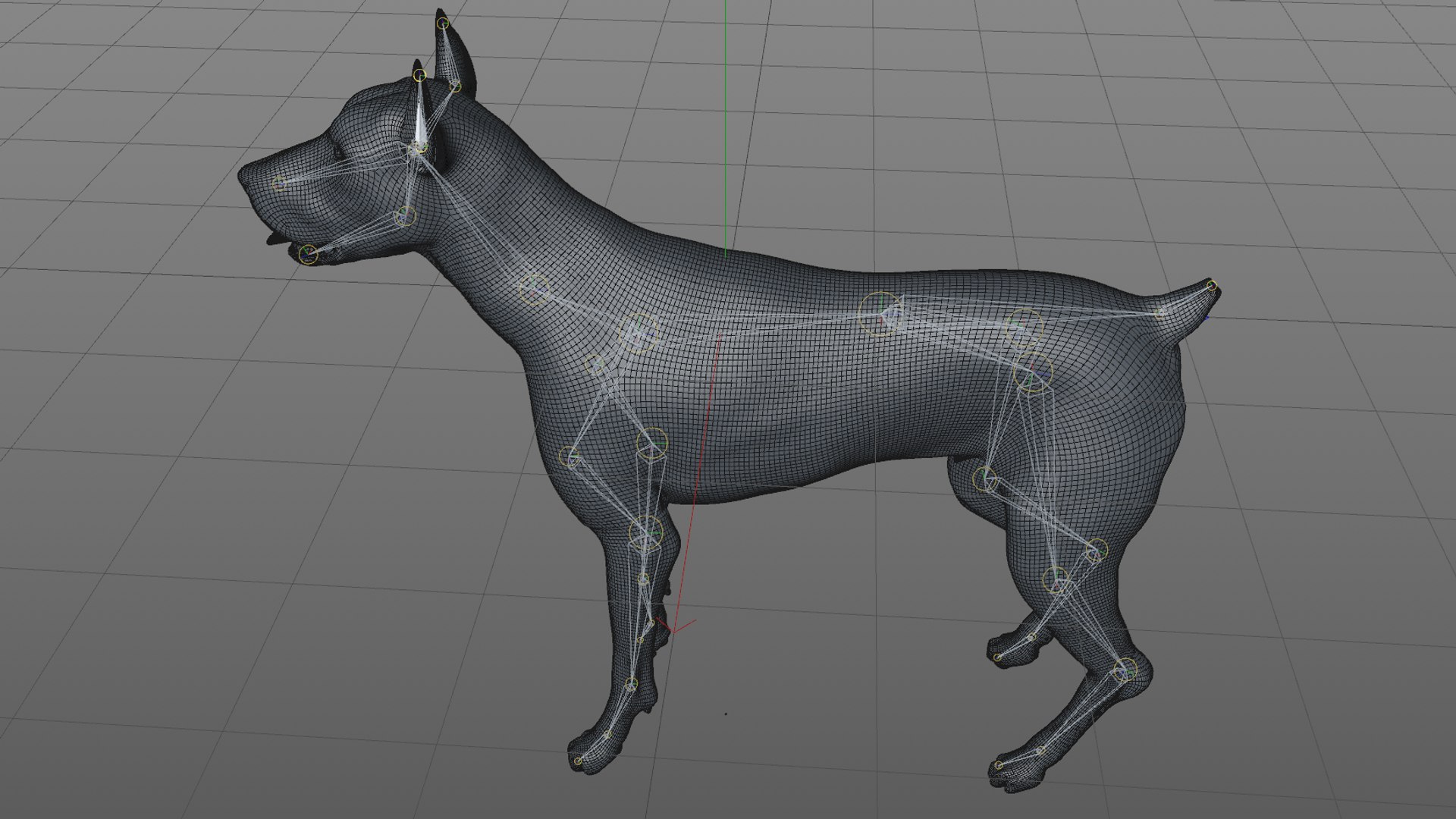 doberman rigged l617 animate 3D model https://p.turbosquid.com/ts-thumb/K8/UUH7jw/JXHmoSoN/70/png/1584058334/1920x1080/fit_q87/343af9e52b5e554e864ffe30d13f03bdd88096bd/70.jpg