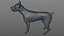 Doberman Rigged L617