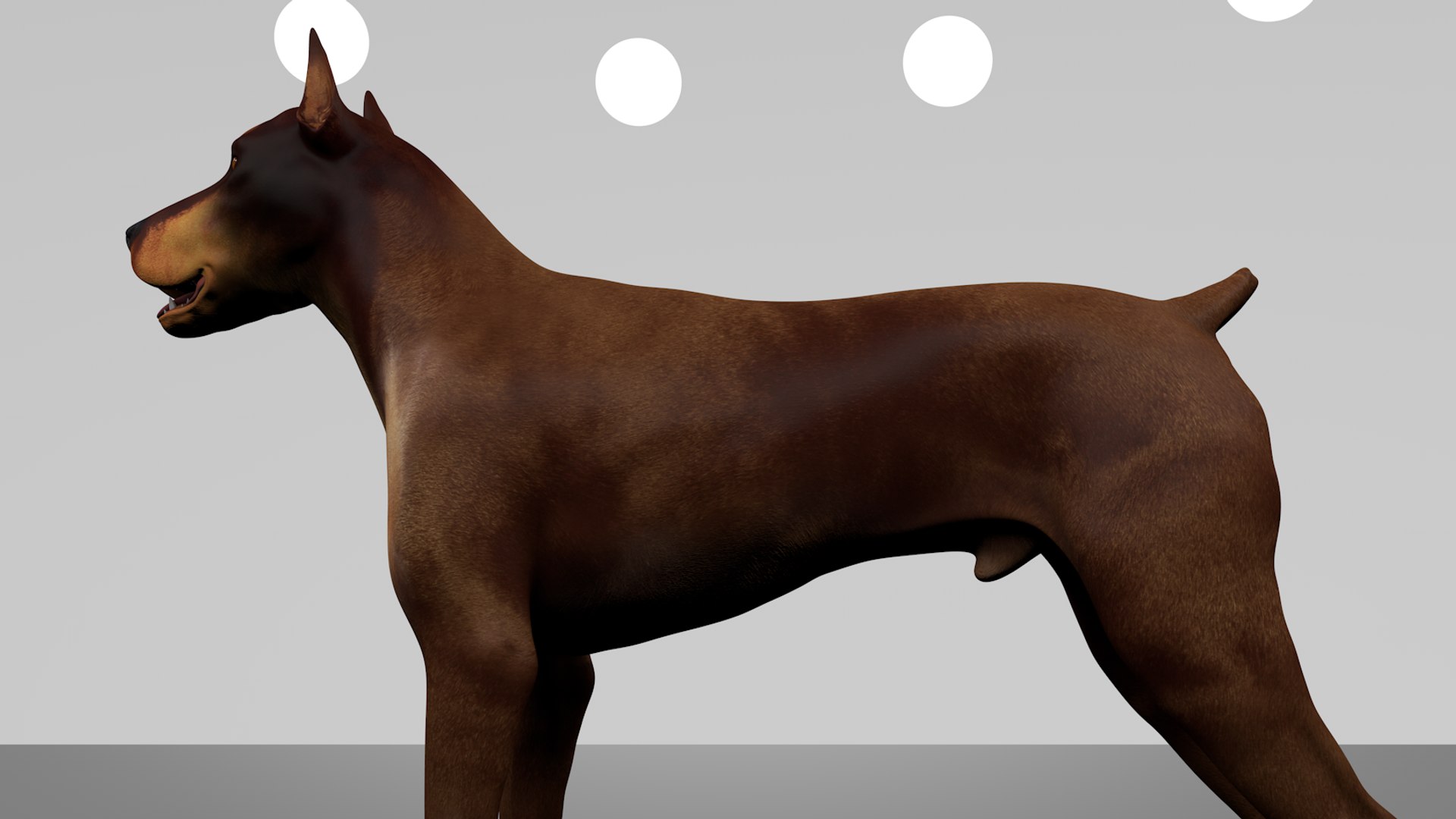 doberman rigged l617 animate 3D model https://p.turbosquid.com/ts-thumb/K8/UUH7jw/NpN7gDwJ/10/png/1584402449/1920x1080/fit_q87/d688dc7a7c984a9e8ac8528772981e57fa098bdd/10.jpg
