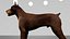 Doberman Rigged L617