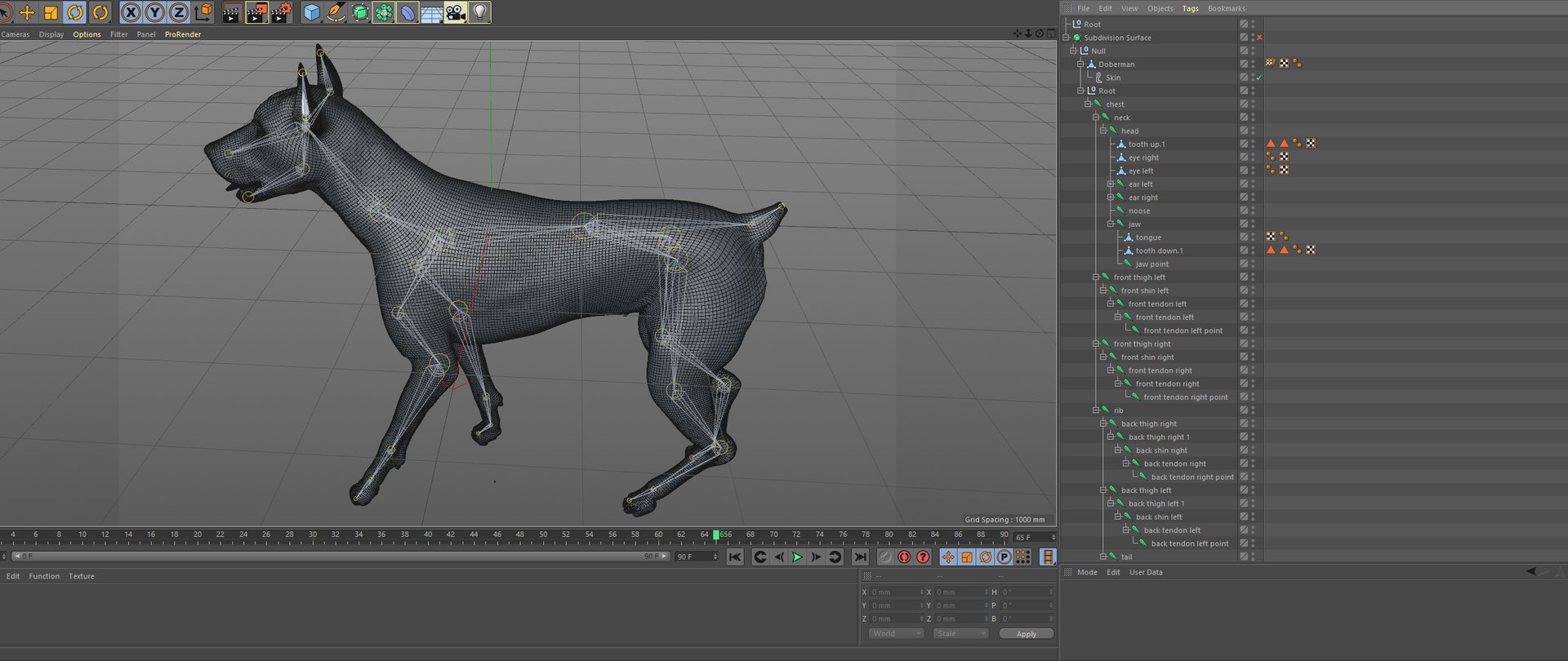 doberman rigged l617 animate 3D model https://p.turbosquid.com/ts-thumb/K8/UUH7jw/QWq79xX4/95/png/1584058335/1920x1080/fit_q87/be6204cac12cef1c5ac5f915c6582cbeacfc96a0/95.jpg