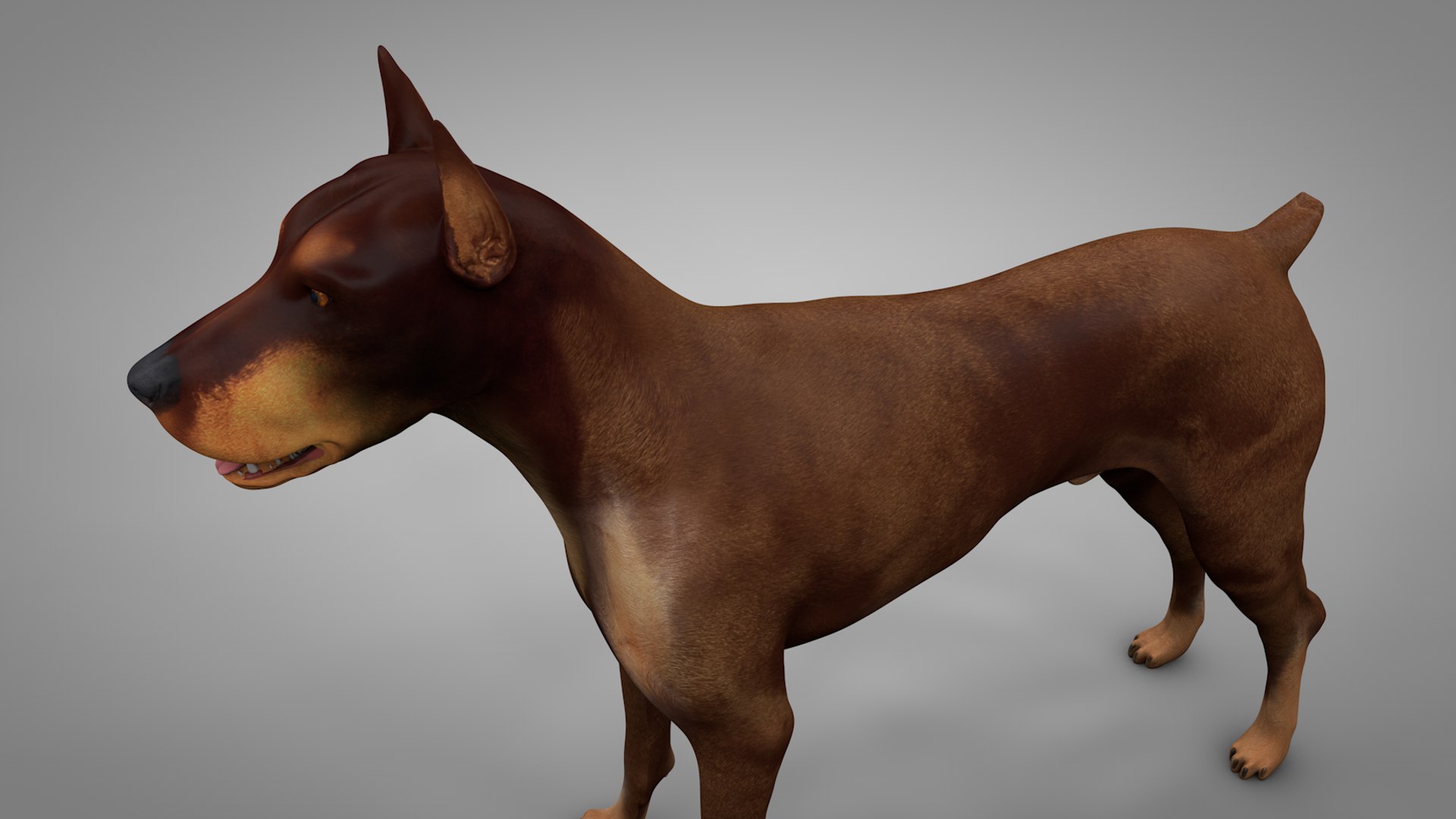 doberman rigged l617 animate 3D model https://p.turbosquid.com/ts-thumb/K8/UUH7jw/QuV9C87f/8/png/1584402449/1920x1080/fit_q87/29ea4ef0c5e3ceb81fc1bfb810ce452e277c5416/8.jpg