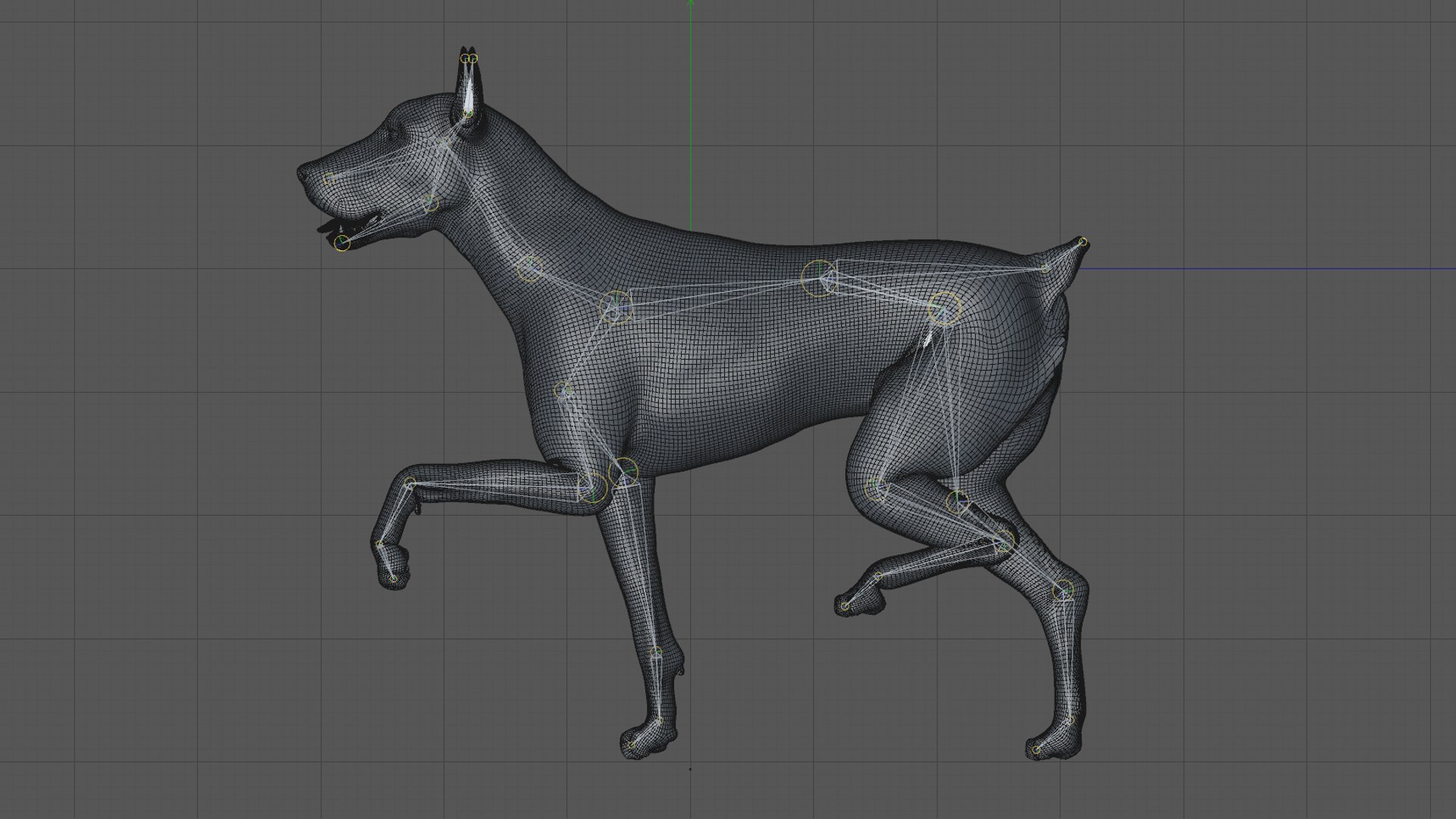 doberman rigged l617 animate 3D model https://p.turbosquid.com/ts-thumb/K8/UUH7jw/QvbQLSnw/50/png/1584058333/1920x1080/fit_q87/64b5fbf5c8ddacaba9418118516db36ce8b1a14f/50.jpg