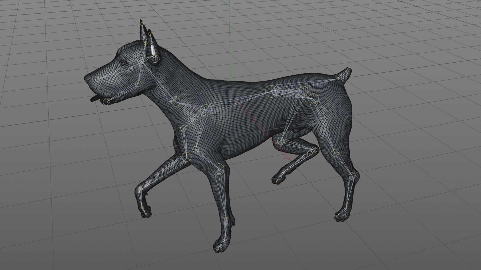 doberman rigged l617 animate 3D model https://p.turbosquid.com/ts-thumb/K8/UUH7jw/ZNstijy6/54/png/1584058333/1920x1080/fit_q87/ab830e4ffcd88ca85e99e9ee81fc1dc996c95e10/54.jpg