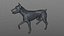 Doberman Rigged L617