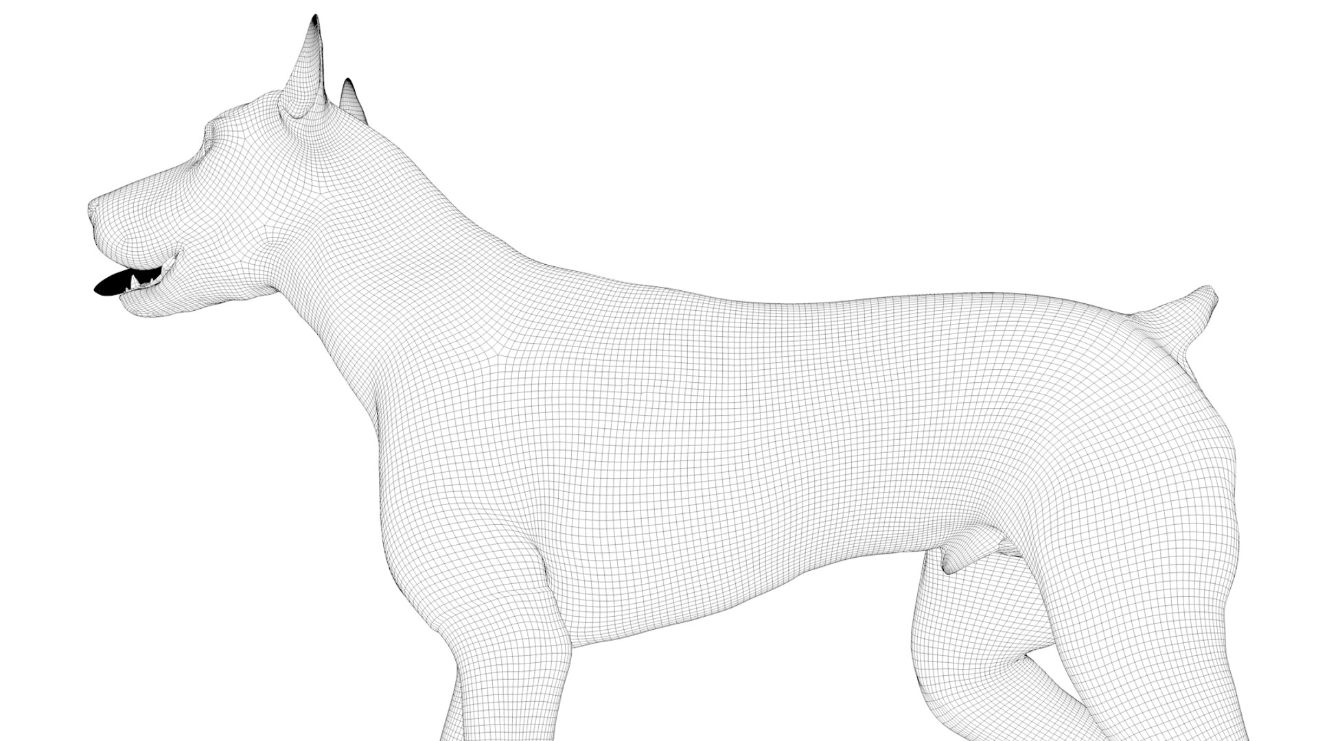 doberman rigged l617 animate 3D model https://p.turbosquid.com/ts-thumb/K8/UUH7jw/ZfpsjXNU/85/png/1584058334/1920x1080/fit_q87/5949340134677ab630a452a013a1ddaaae730d32/85.jpg
