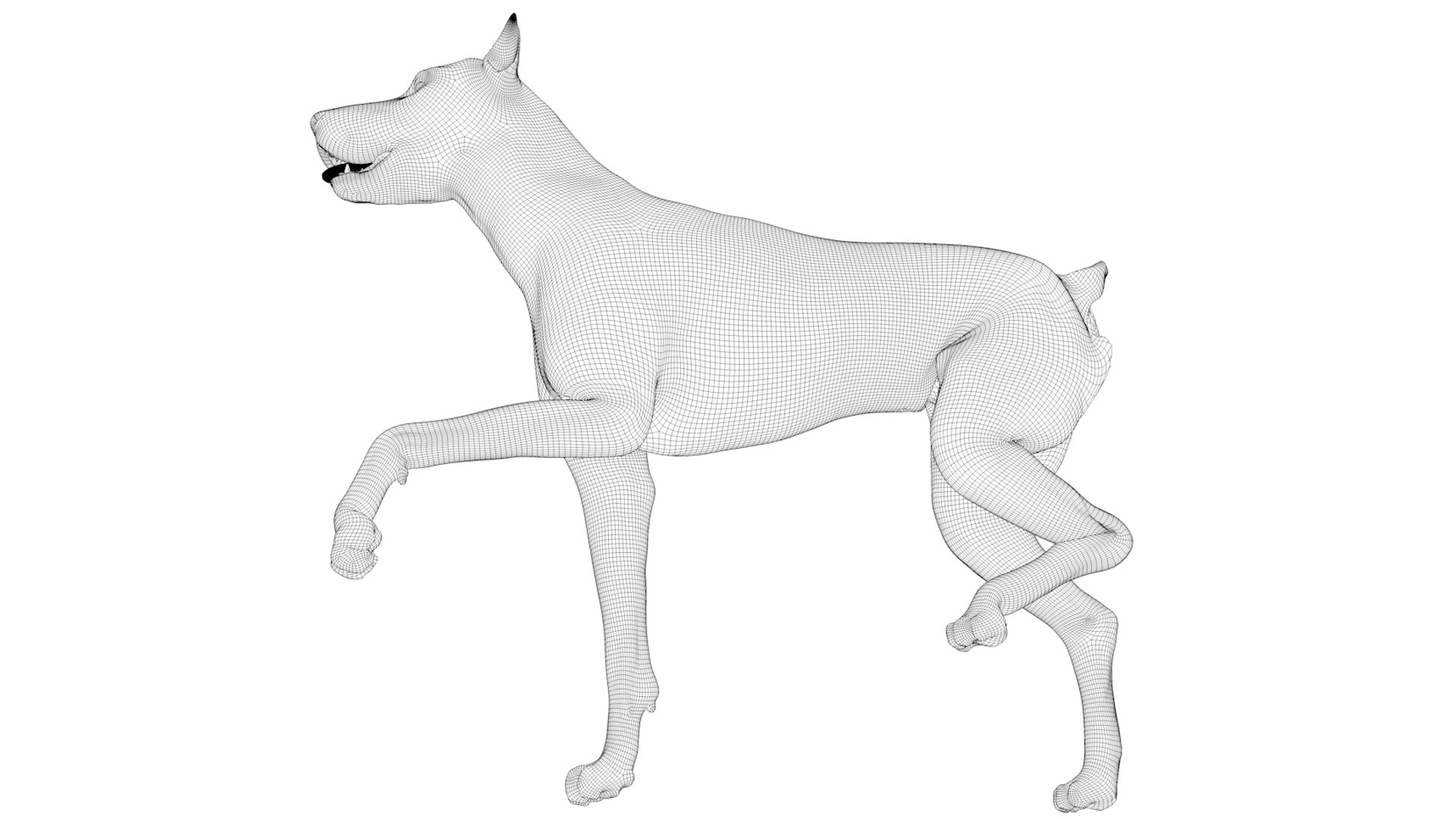doberman rigged l617 animate 3D model https://p.turbosquid.com/ts-thumb/K8/UUH7jw/gCtWlOIP/93/png/1584058335/1920x1080/fit_q87/07fe9dfdb6f17086e3da21a132fa2015f9e003cf/93.jpg