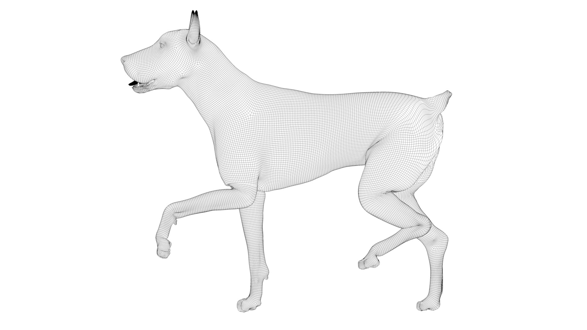 doberman rigged l617 animate 3D model https://p.turbosquid.com/ts-thumb/K8/UUH7jw/gNdMkaNE/92/png/1584058335/1920x1080/fit_q87/bacf1ef1b825a22664448ba36a94ac28779e6c0a/92.jpg