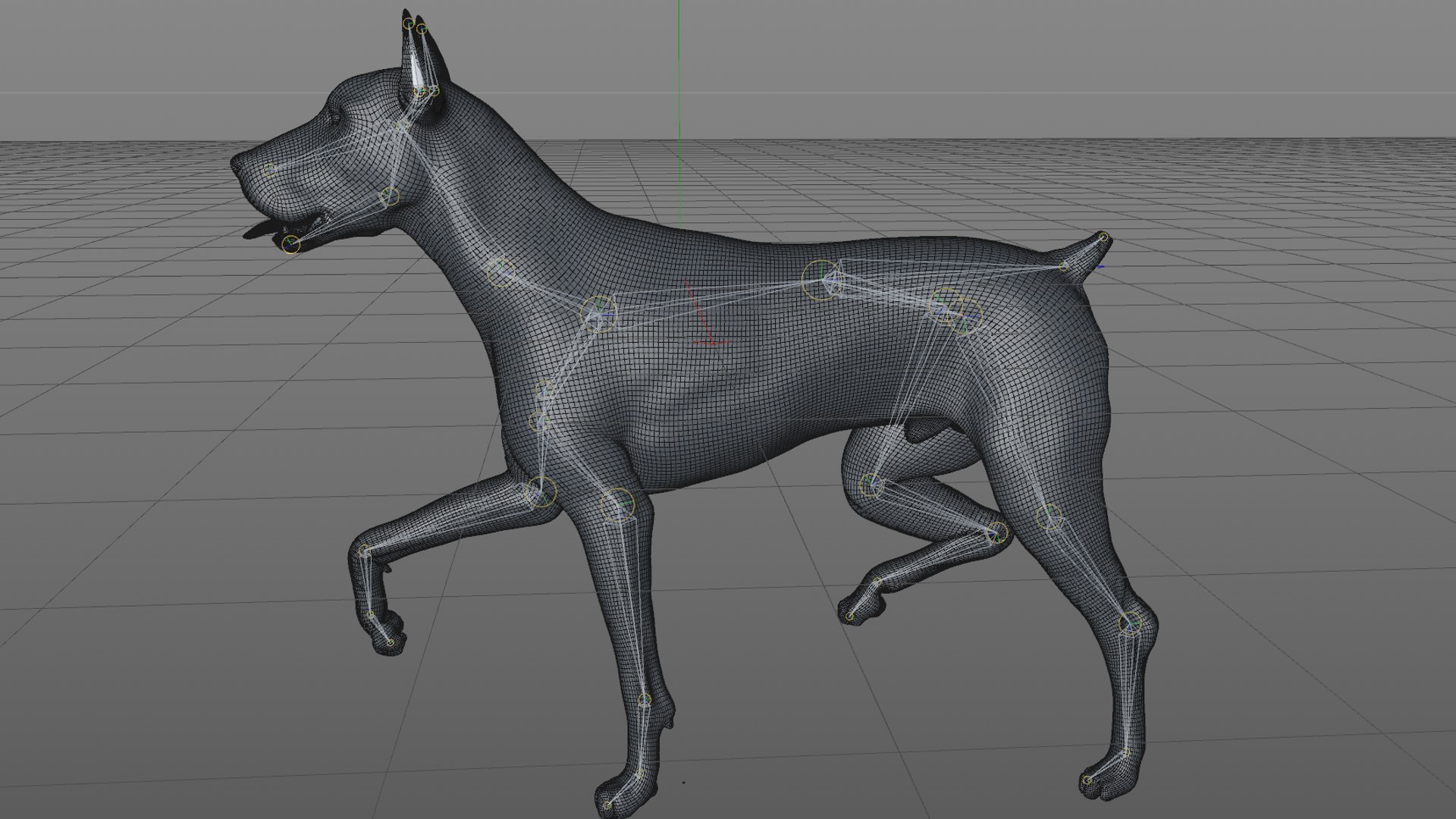 doberman rigged l617 animate 3D model https://p.turbosquid.com/ts-thumb/K8/UUH7jw/pSXkfmcn/66/png/1584058334/1920x1080/fit_q87/6e2cd9e5d02b08c2cb8fef1a28a51f0afcda7436/66.jpg