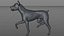 Doberman Rigged L617