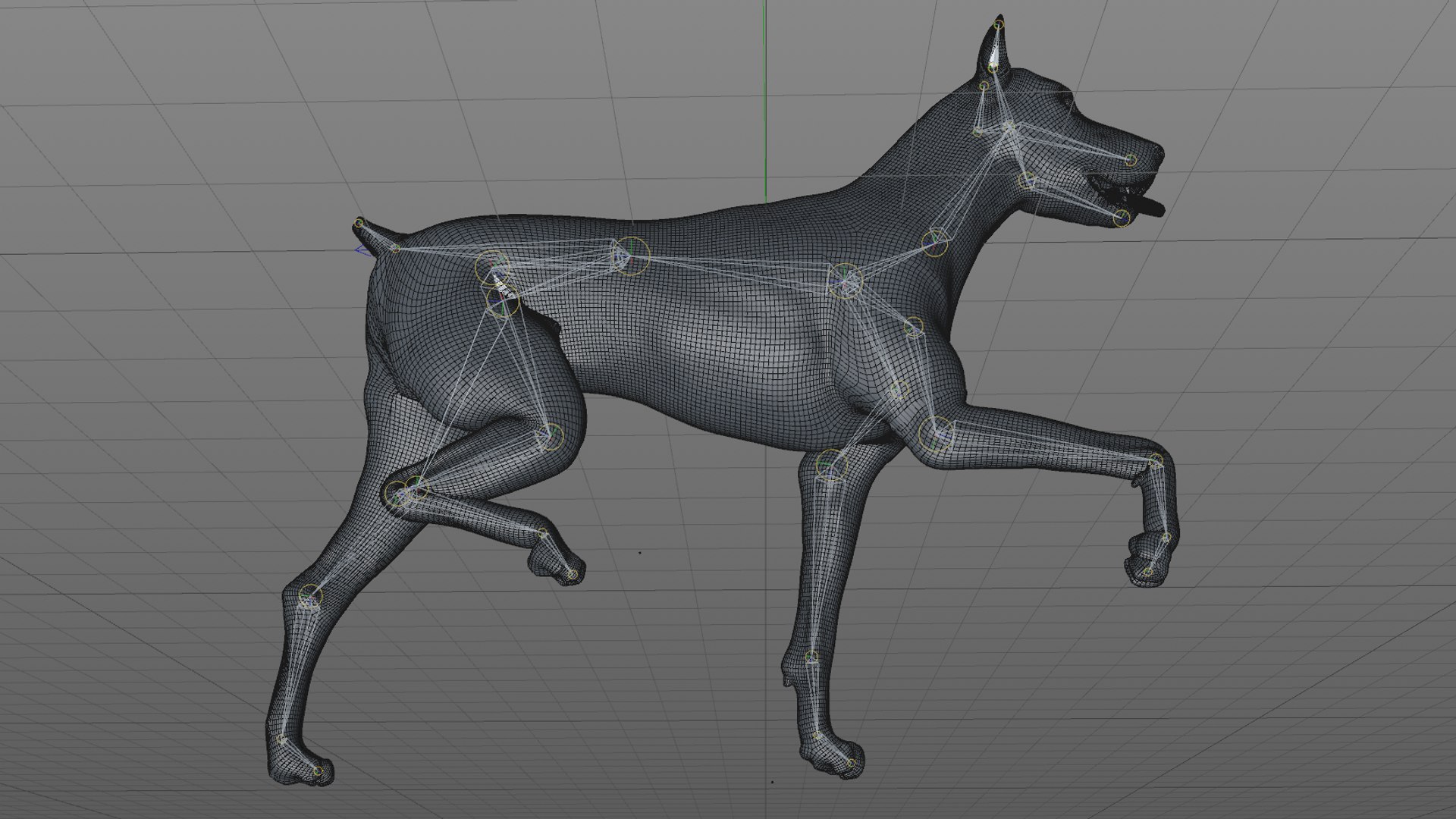 doberman rigged l617 animate 3D model https://p.turbosquid.com/ts-thumb/K8/UUH7jw/qAMfUTJi/57/png/1584058333/1920x1080/fit_q87/5cc2445e9d1340b7b1589d58d531fb504a6fe51a/57.jpg