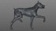 Doberman Rigged L617