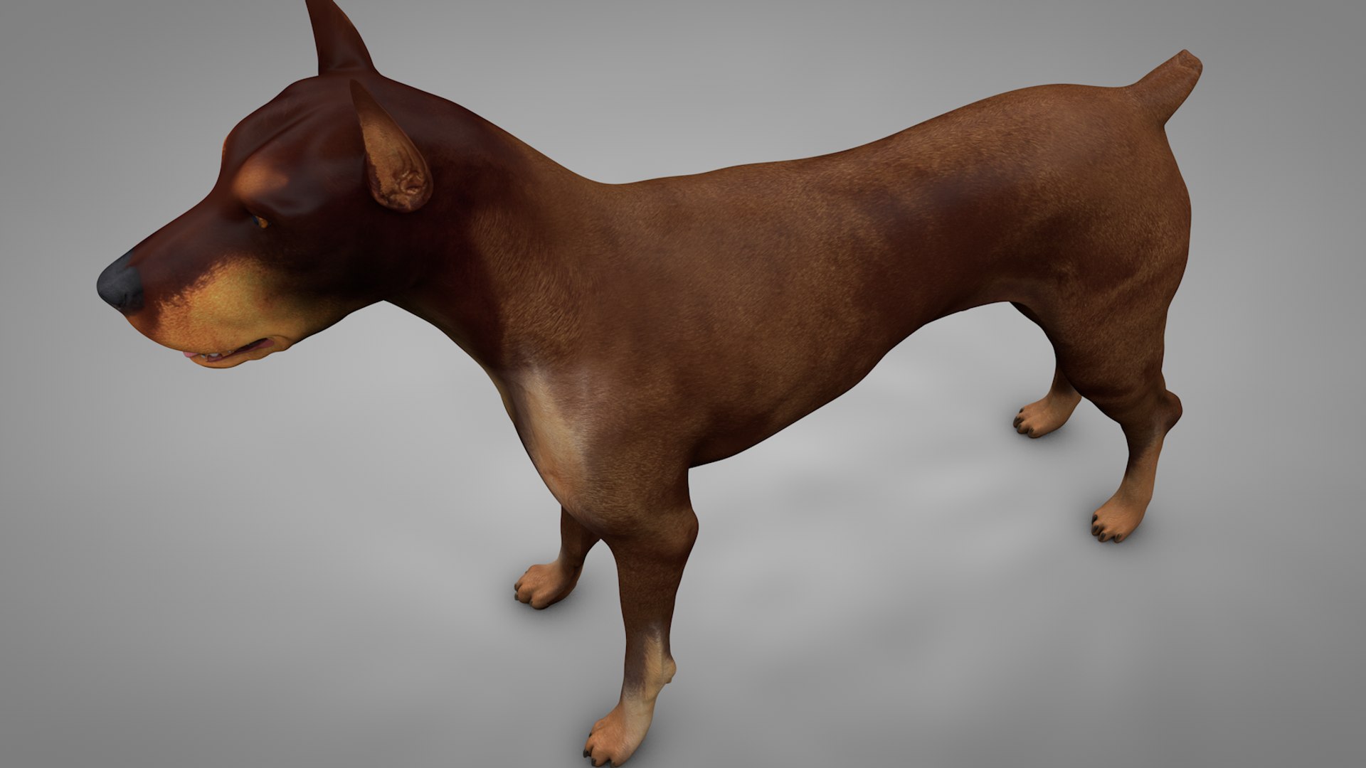 doberman rigged l617 animate 3D model https://p.turbosquid.com/ts-thumb/K8/UUH7jw/raMviRKV/9/png/1584402449/1920x1080/fit_q87/1e9fb43b45c9155189c901e0ab9797498781b7cd/9.jpg