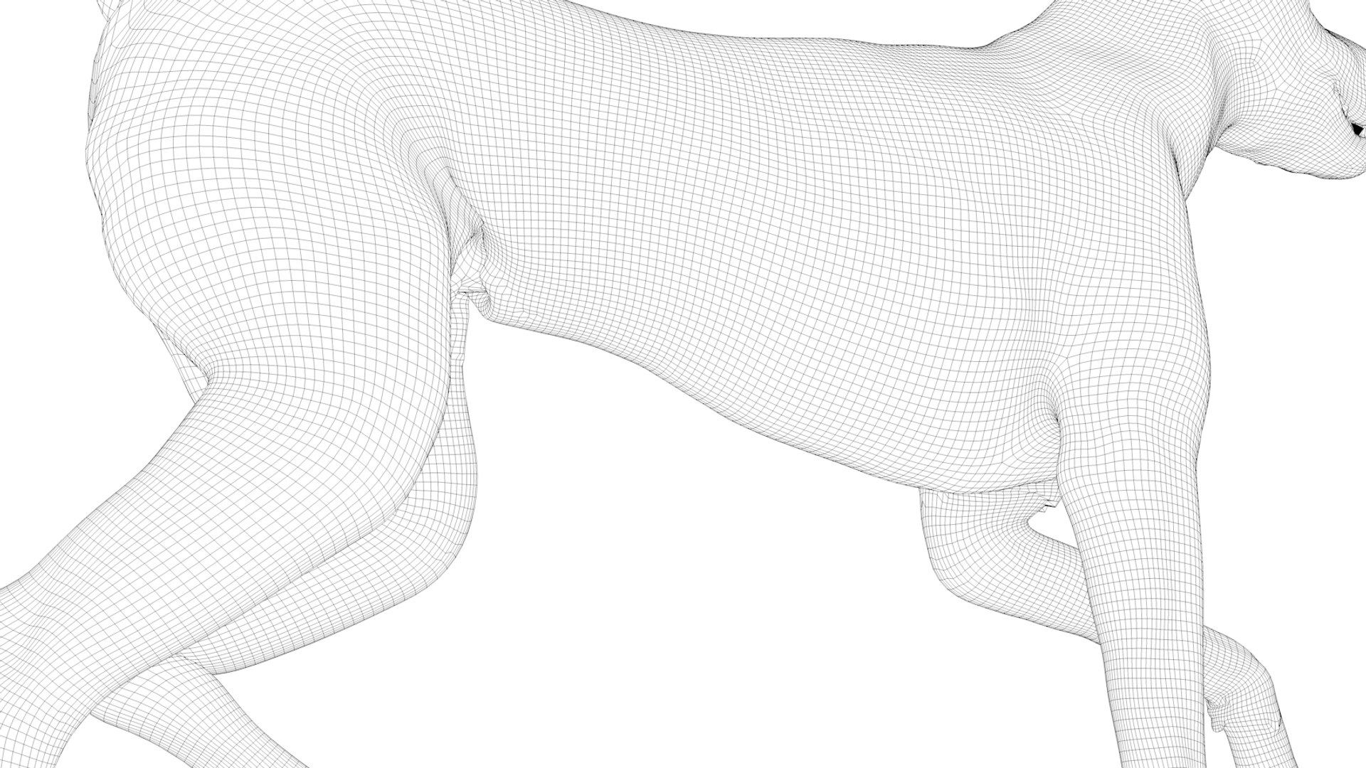 doberman rigged l617 animate 3D model https://p.turbosquid.com/ts-thumb/K8/UUH7jw/yPV6vTpx/87/png/1584058334/1920x1080/fit_q87/77931bd1ab4c8bbfb85916c2822f17b793a0f3a6/87.jpg