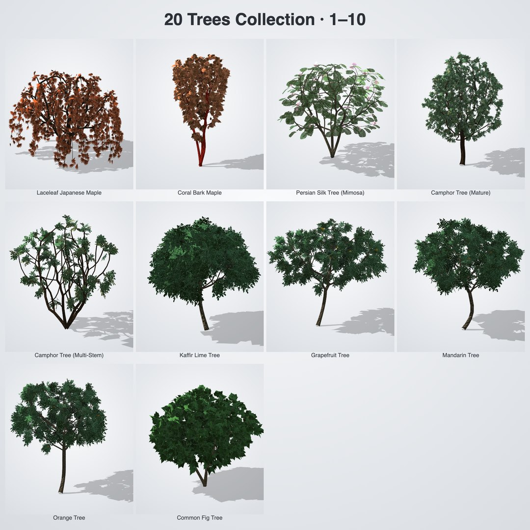 20 Trees Collection - Ornamental, Fruit and Shade Trees model https://p.turbosquid.com/ts-thumb/K8/XQWiZo/Ta/bundle_02_part1/png/1790121492/1920x1080/fit_q87/078a50521a95a15a8f5ade3b73df2e1e39e21f56/bundle_02_part1.jpg