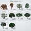 Colección de 20 árboles: ornamentales, frutales y de sombra.