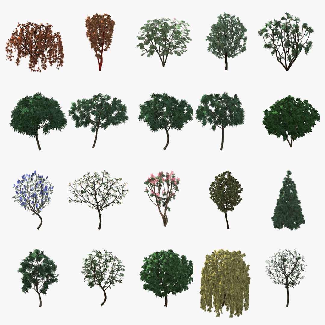 20 Trees Collection - Ornamental, Fruit and Shade Trees model https://p.turbosquid.com/ts-thumb/K8/XQWiZo/eg/bundle_00_search_1200/png/1790122506/1920x1080/fit_q87/567879ed525d8d05a0f87fffbb2ed25552caf68d/bundle_00_search_1200.jpg