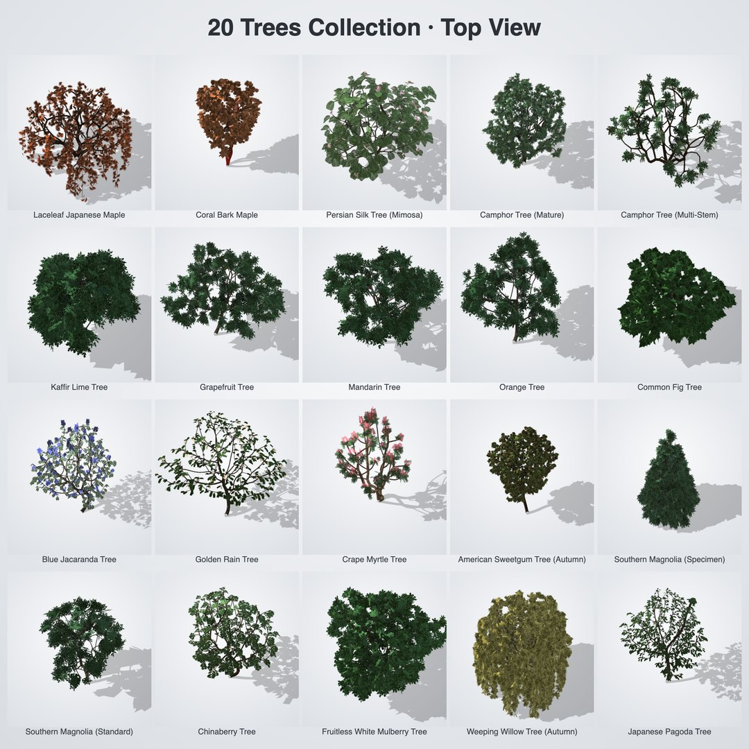 20 Trees Collection - Ornamental, Fruit and Shade Trees model https://p.turbosquid.com/ts-thumb/K8/XQWiZo/hZ/bundle_05_top_grid/png/1790121493/1920x1080/fit_q87/434e17d24f8da0453e1bdd77afa6e8d31bf9421b/bundle_05_top_grid.jpg