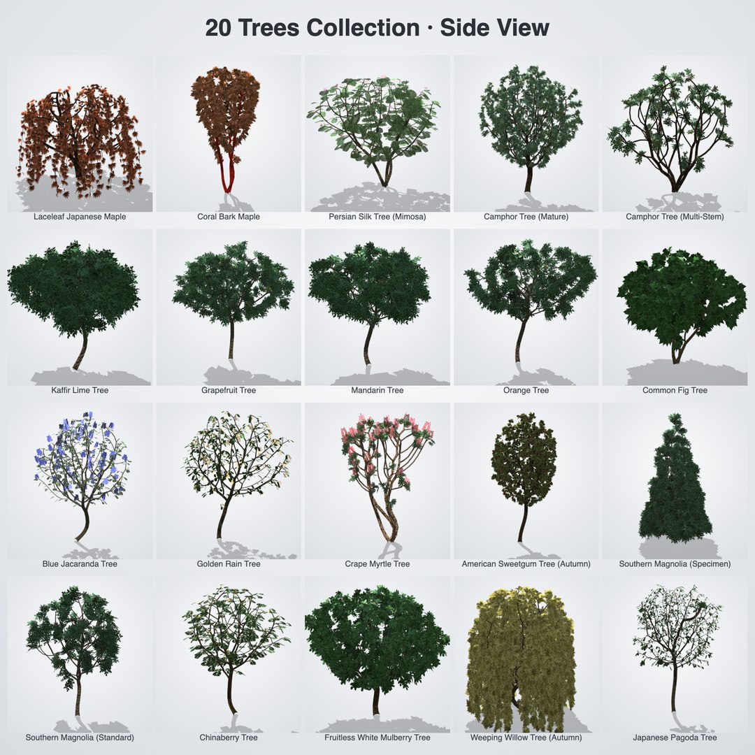 20 Trees Collection - Ornamental, Fruit and Shade Trees model https://p.turbosquid.com/ts-thumb/K8/XQWiZo/mt/bundle_04_side_grid/png/1790121492/1920x1080/fit_q87/d6fb974940e07cdd573006e3ac5eae29e6e1cdfc/bundle_04_side_grid.jpg