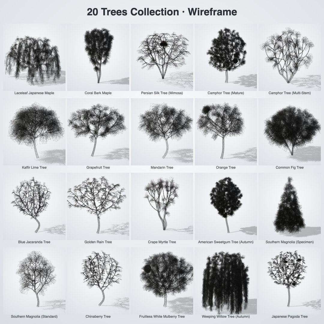 20 Trees Collection - Ornamental, Fruit and Shade Trees model https://p.turbosquid.com/ts-thumb/K8/XQWiZo/tb/bundle_06_wireframe_grid/png/1790122439/1920x1080/fit_q87/0b7ab1ee860feb3d1aad54fc8e15ff5640d7e0f6/bundle_06_wireframe_grid.jpg