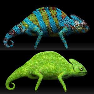 Color Switch Chameleon Collection