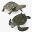 Turtles Collection