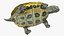 Turtles Collection