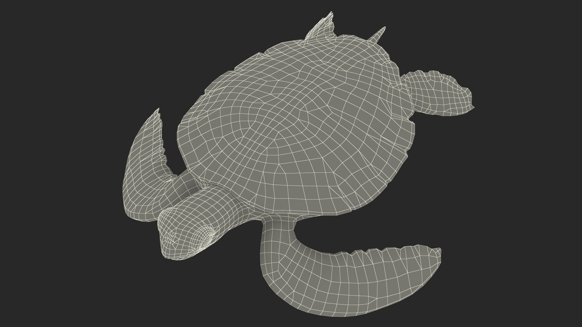 Turtles Collection 3D https://p.turbosquid.com/ts-thumb/K8/jJwxto/Ze/turtles_collection_011/jpg/1773668087/1920x1080/fit_q87/d76097babfe7d4f83682e3d51c963dc9de83c542/turtles_collection_011.jpg