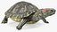 Turtles Collection