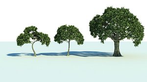 3dsmax 3 trees